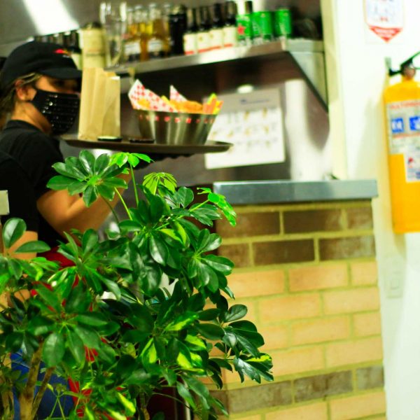 Equipo-master-wings-2