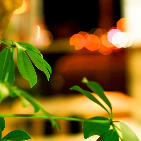 Restaurante-master-wings-4